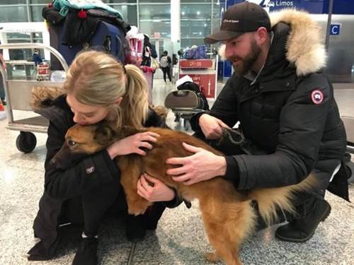 Dogilike.com :: ٺ١ҢͧԴҵѴҷЪͺشԹ ѹѹժԵ !