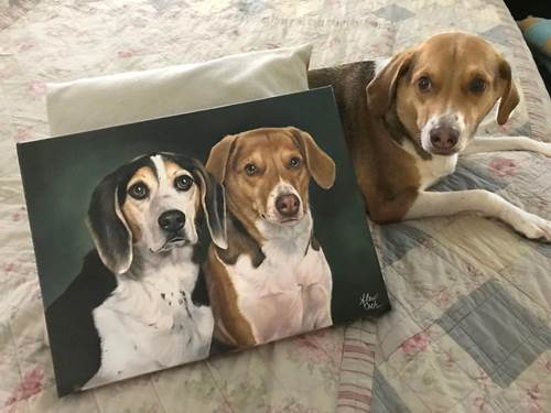 Dogilike.com :: ŻԹҾͧҵǨԧѺҾҴشѡ Сҹա!