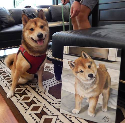 Dogilike.com :: ŻԹҾͧҵǨԧѺҾҴشѡ Сҹա!