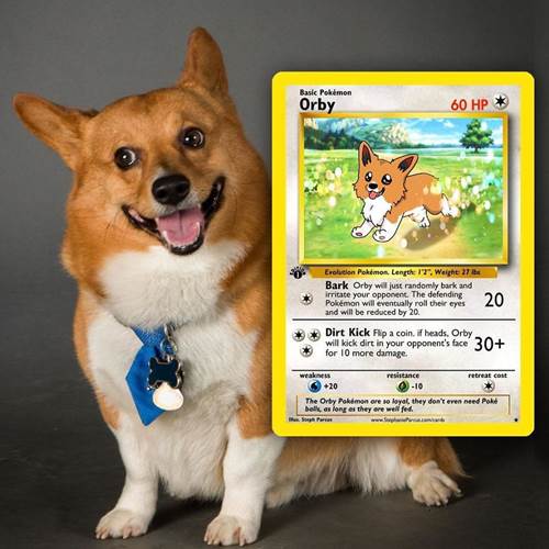 Dogilike.com :: ѡԹ! ŻԹҫŨѺѵ§㹡͹