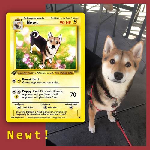 Dogilike.com :: ѡԹ! ŻԹҫŨѺѵ§㹡͹