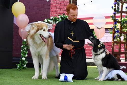 Dogilike.com :: ѡ! ѧҢͧ Դ鹷ѴҹѺٺ