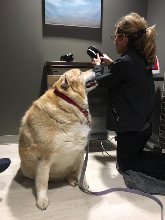 Dogilike.com :: Ңͧ觡س¦ҵǹԹ ѵᾷẺ᷹!