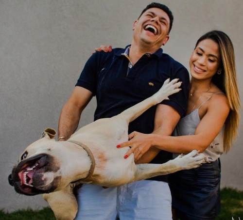 Dogilike.com :: ѡҵٺҾǴ駴¡ѹ ش͡Ẻ !