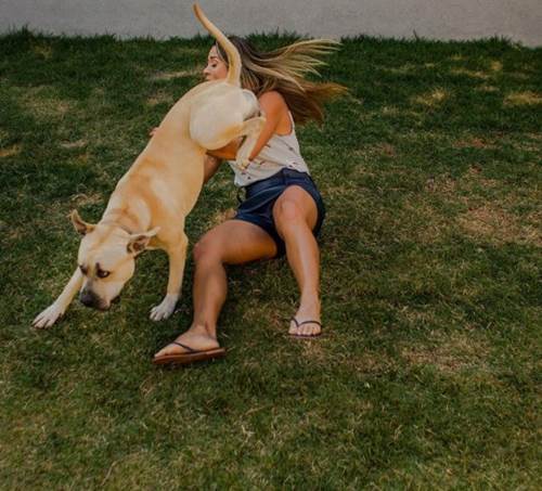 Dogilike.com :: ѡҵٺҾǴ駴¡ѹ ش͡Ẻ !