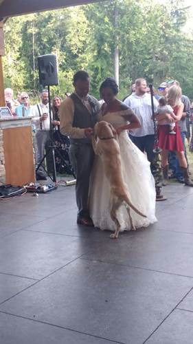 Dogilike.com :: คลิปนาทีเจ้าตูบร่วมเต้นรำกับคู่บ่าวสาว น่ารักจนคนดูนับ 1 ล้านวิว! Dogilike.com :: คลิปนาทีเจ้าตูบร่วมเต้นรำกับคู่บ่าวสาว น่ารักจนคนดูนับ 1 ล้านวิว!