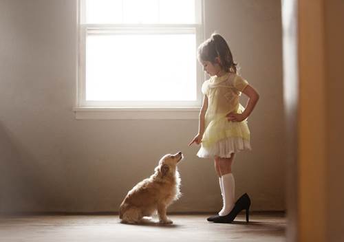 Dogilike.com :: س 17 Ҿ١ѹشѡͧ١ǡѺٺ !