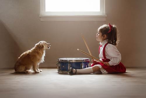 Dogilike.com :: س 17 Ҿ١ѹشѡͧ١ǡѺٺ !
