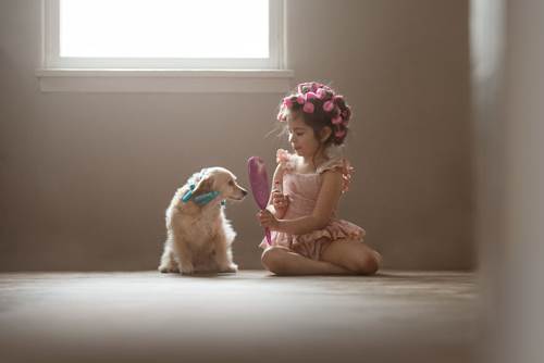 Dogilike.com :: س 17 Ҿ١ѹشѡͧ١ǡѺٺ !