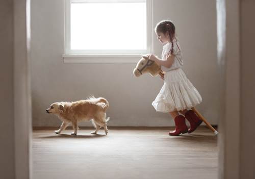 Dogilike.com :: س 17 Ҿ١ѹشѡͧ١ǡѺٺ !