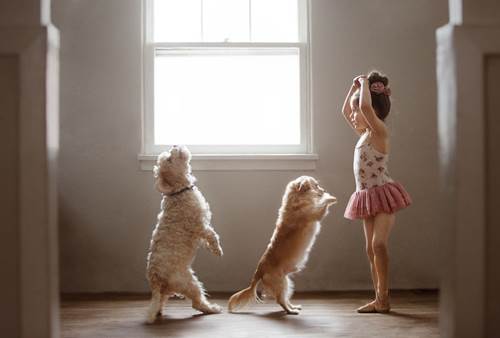 Dogilike.com :: س 17 Ҿ١ѹشѡͧ١ǡѺٺ !