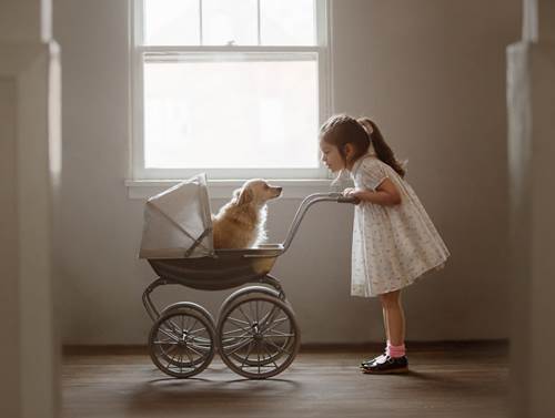 Dogilike.com :: س 17 Ҿ١ѹشѡͧ١ǡѺٺ !