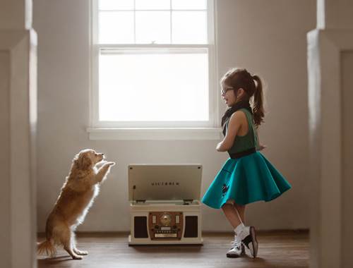 Dogilike.com :: س 17 Ҿ١ѹشѡͧ١ǡѺٺ !