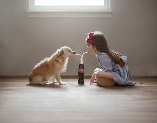 Dogilike.com :: س 17 Ҿ١ѹشѡͧ١ǡѺٺ !