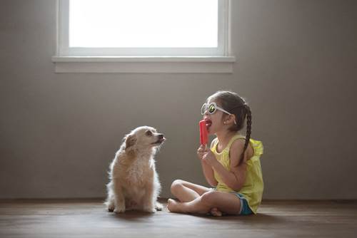 Dogilike.com :: س 17 Ҿ١ѹشѡͧ١ǡѺٺ !