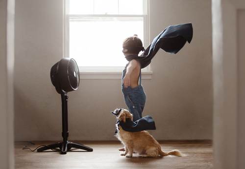 Dogilike.com :: س 17 Ҿ١ѹشѡͧ١ǡѺٺ !