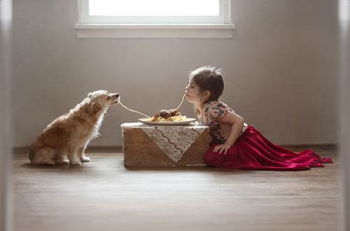 Dogilike.com :: س 17 Ҿ١ѹشѡͧ١ǡѺٺ !