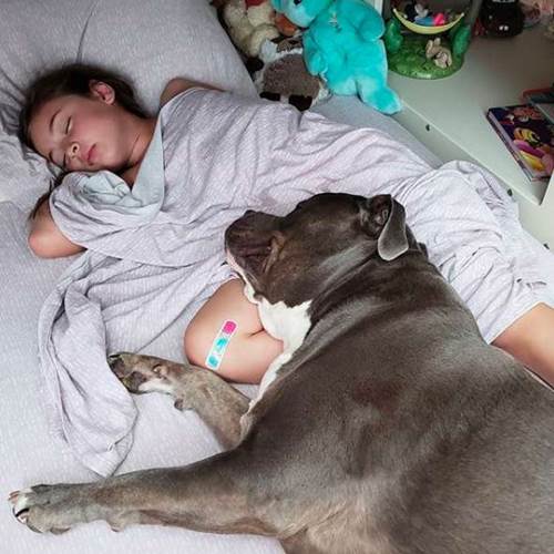 Dogilike.com :: ͧǹѡ Է ͹Դ˹ٹ  ͹Ѻ! 
