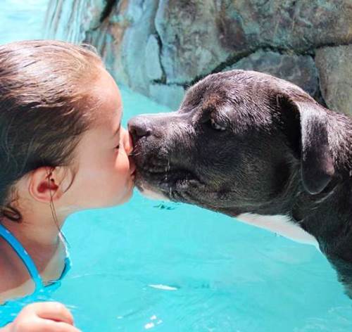Dogilike.com :: ͧǹѡ Է ͹Դ˹ٹ  ͹Ѻ! 