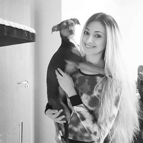 Dogilike.com :: 駺ҹµҿѹس شѺҵٺẺ!