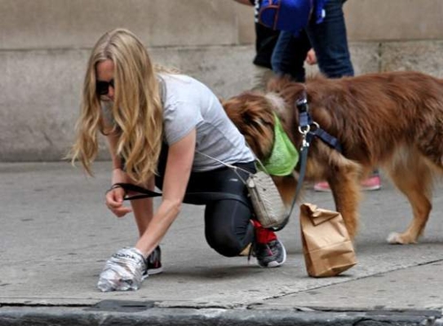 Dogilike.com :: 5 Ҫվش㨤ѡعѢ
