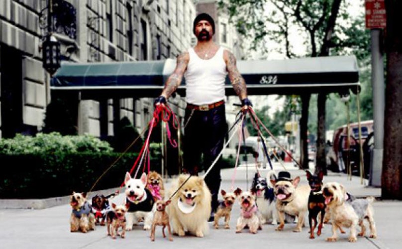 Dogilike.com :: 5 Ҫվش㨤ѡعѢ