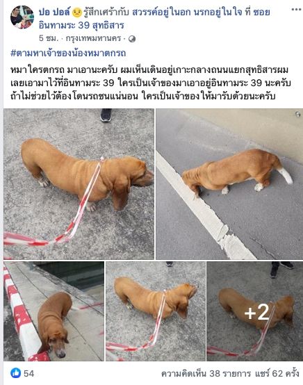 Dogilike.com :: ˹պСҺҹ Ңͧҹͧҵö