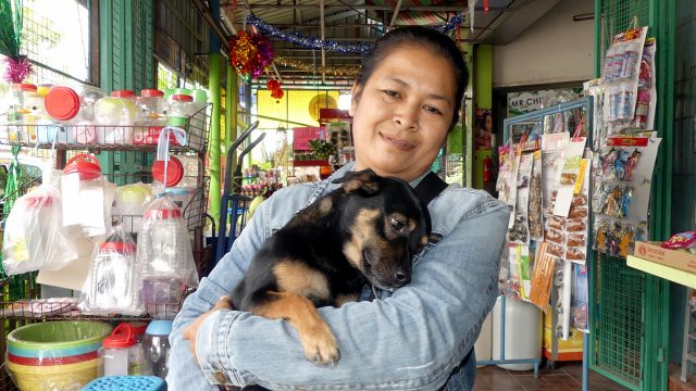 Dogilike.com :: สุนัขผู้ซื่อสัตย์นั่งรอเจ้านายอยู่หน้าห้องฉุกเฉินนานถึง 4 ชั่วโมง! Dogilike.com :: สุนัขผู้ซื่อสัตย์นั่งรอเจ้านายอยู่หน้าห้องฉุกเฉินนานถึง 4 ชั่วโมง!