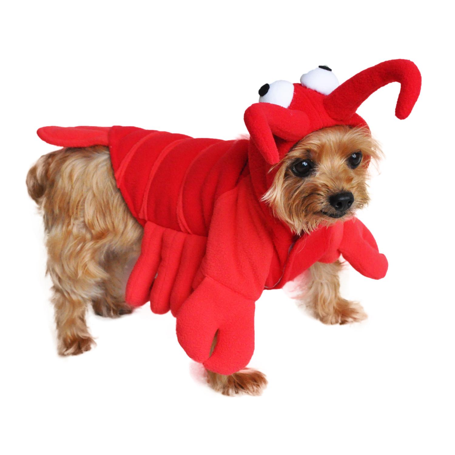 Dogilike.com :: 礡ѹ! ԴѺ¢ͧͧ