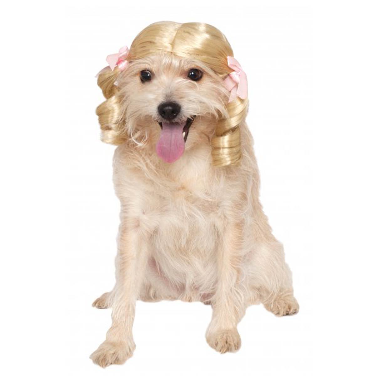 Dogilike.com :: 礡ѹ! ԴѺ¢ͧͧ