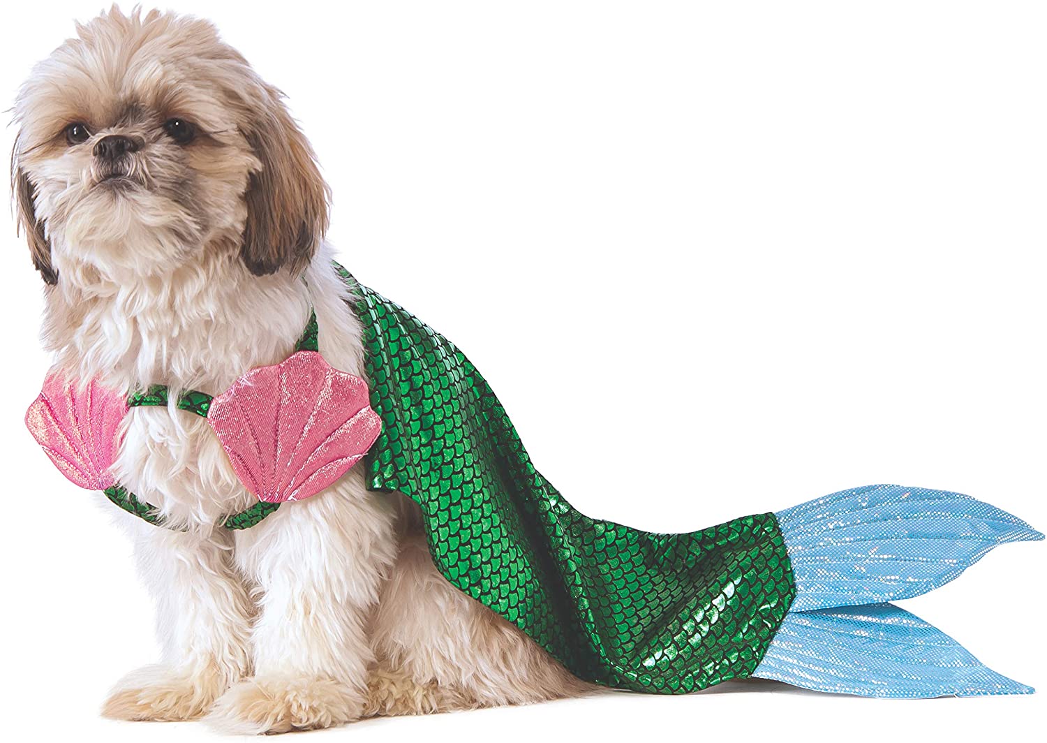 Dogilike.com :: 礡ѹ! ԴѺ¢ͧͧ