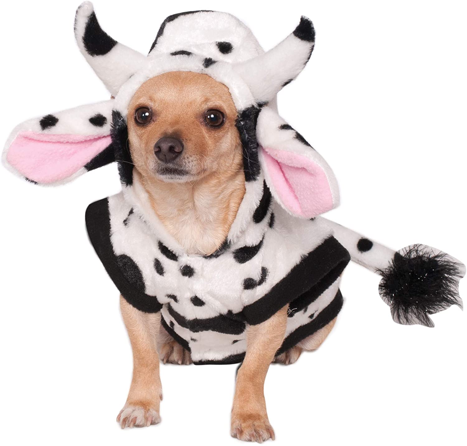 Dogilike.com :: 礡ѹ! ԴѺ¢ͧͧ