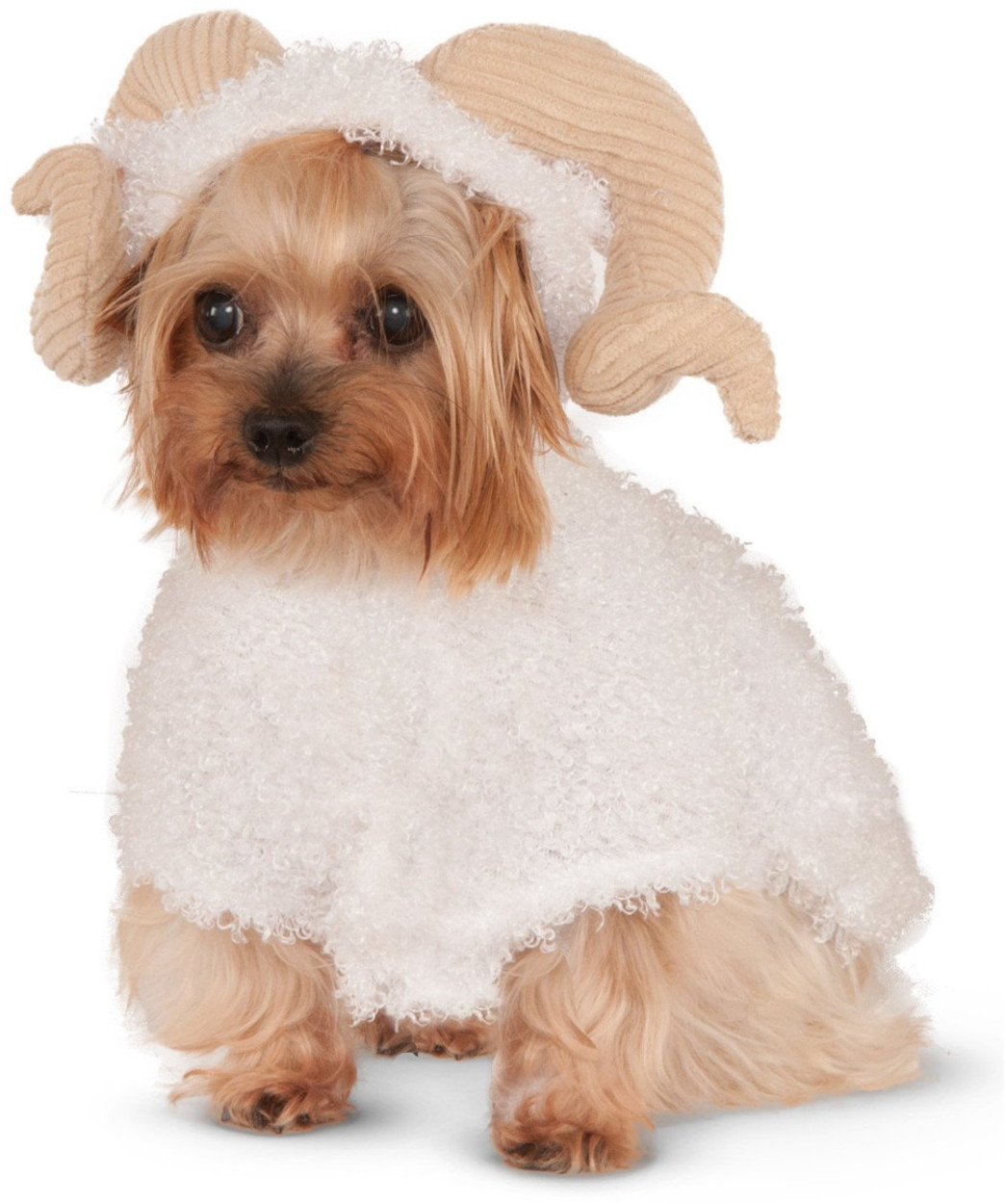 Dogilike.com :: 礡ѹ! ԴѺ¢ͧͧ