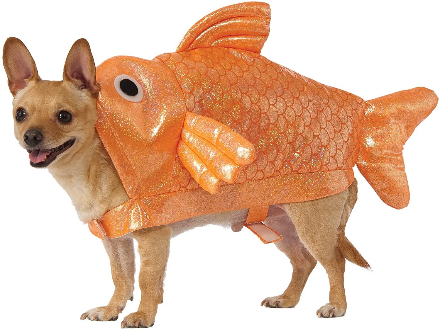 Dogilike.com :: 礡ѹ! ԴѺ¢ͧͧ
