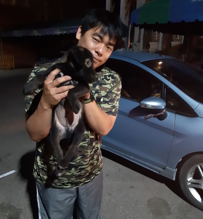 Dogilike.com :: š! ͧҺҹբչӵͺǧҤ