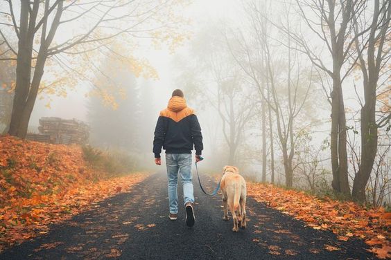 Dogilike.com :: 5 ĵԡش Шзͧǹ!