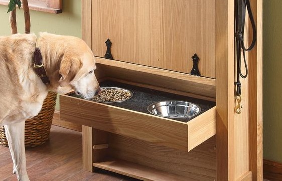Dogilike.com :: 5 ĵԡش Шзͧǹ!