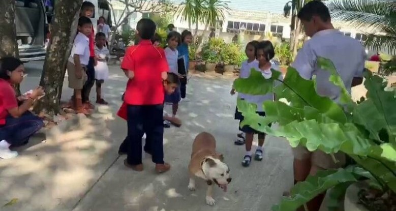 Dogilike.com :: عѢشѴç¹ ѹ餹