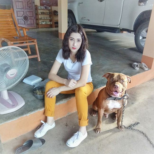 Dogilike.com :: ҹѡҺ! ͺҢͧءѹ