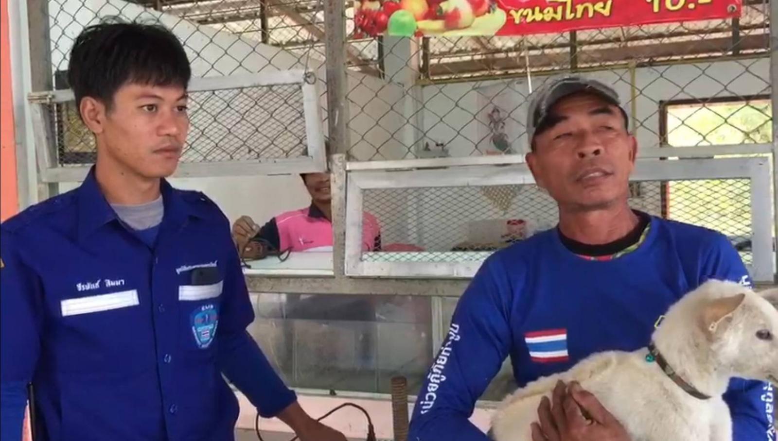 Dogilike.com :: ١عѢǵԴ١ççç¹ Ҵ˵