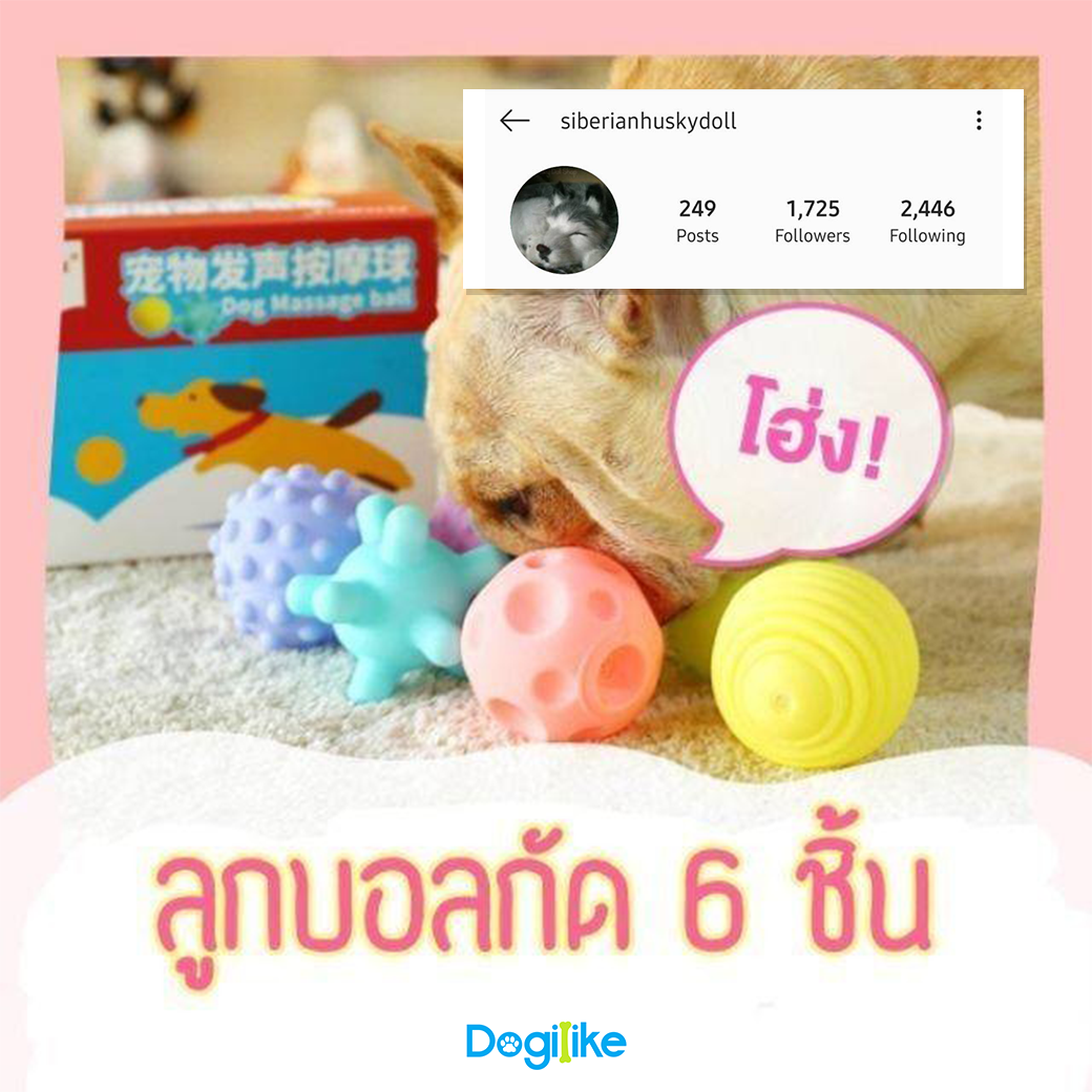 Dogilike.com :: Review 10 ͧشǷ ѡͧ ҡҹ Instagram