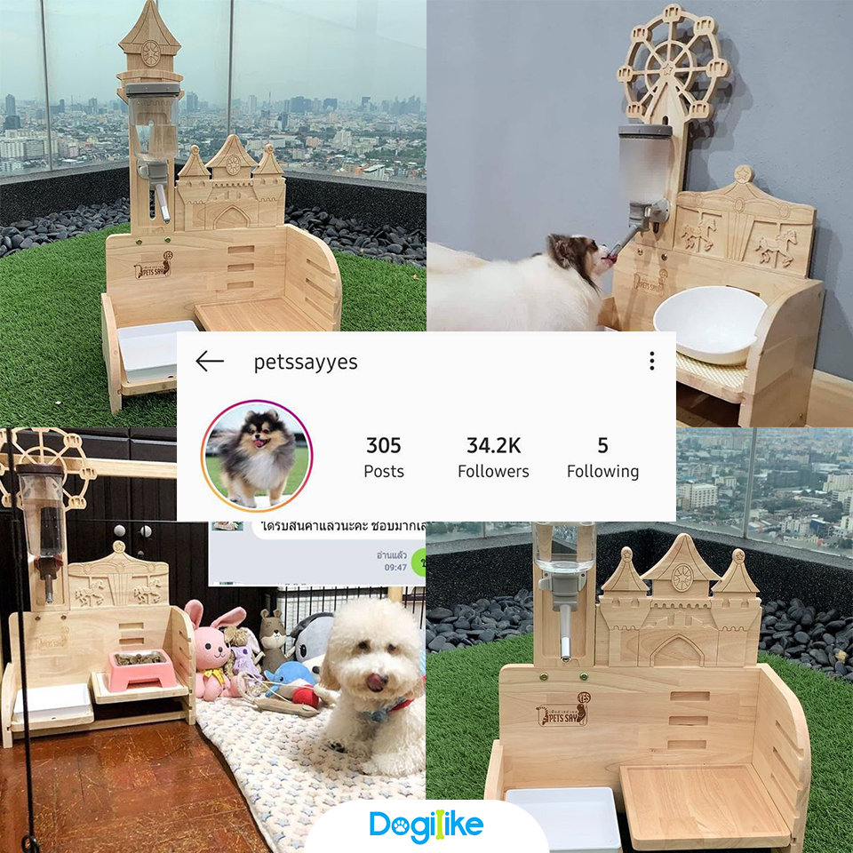 Dogilike.com :: Review 10 ╙ра╧Ис - мркрц йрц╬я╢╩цпБб╙╧Л╗р║цИр╧Ц╧ Instagram 