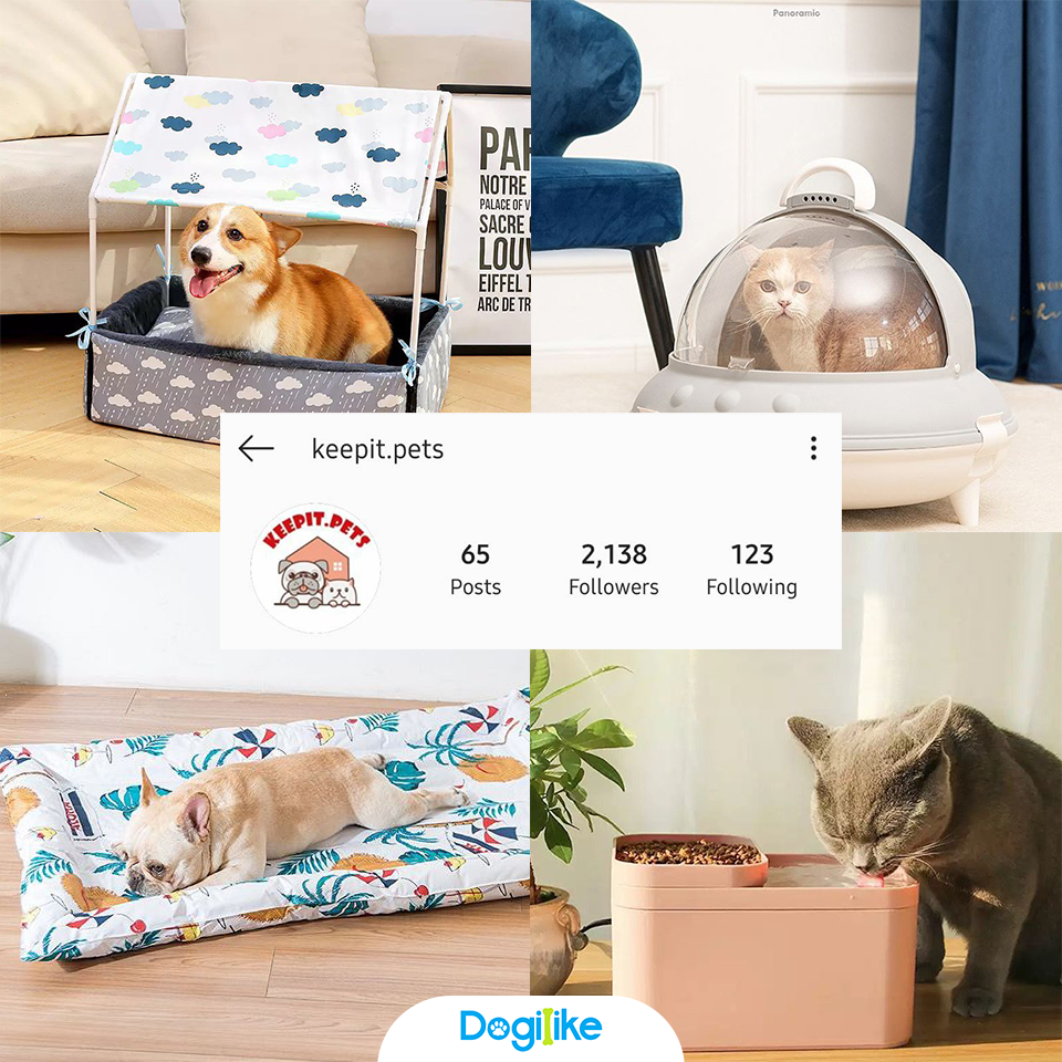 Dogilike.com :: Review 10 ҹ ѡ觺ҹҡ Instagram 