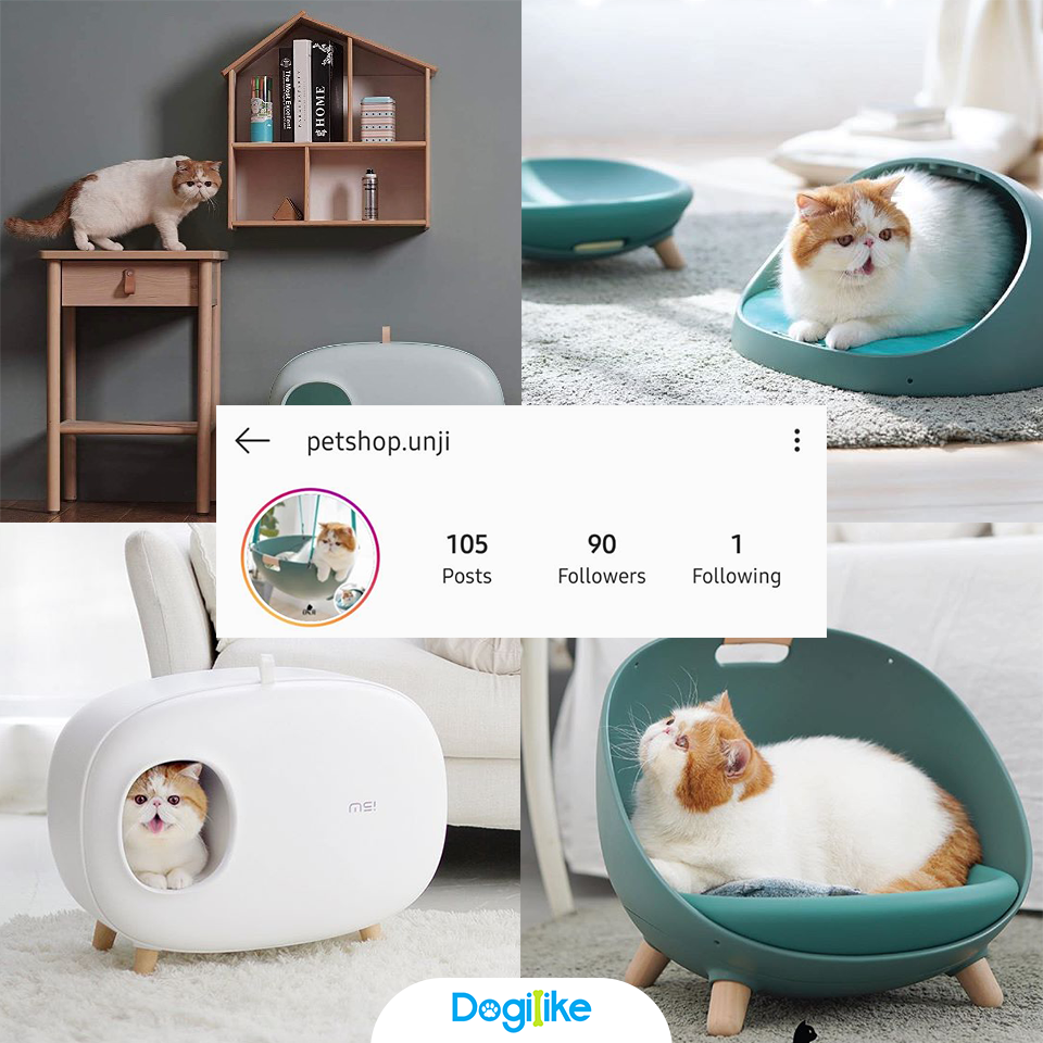 Dogilike.com :: Review 10 ҹ ѡ觺ҹҡ Instagram 