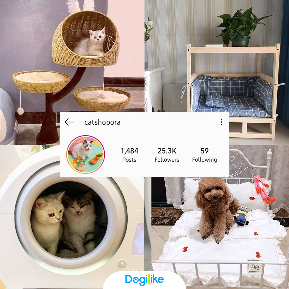 Dogilike.com :: Review 10 ҹ ѡ觺ҹҡ Instagram 