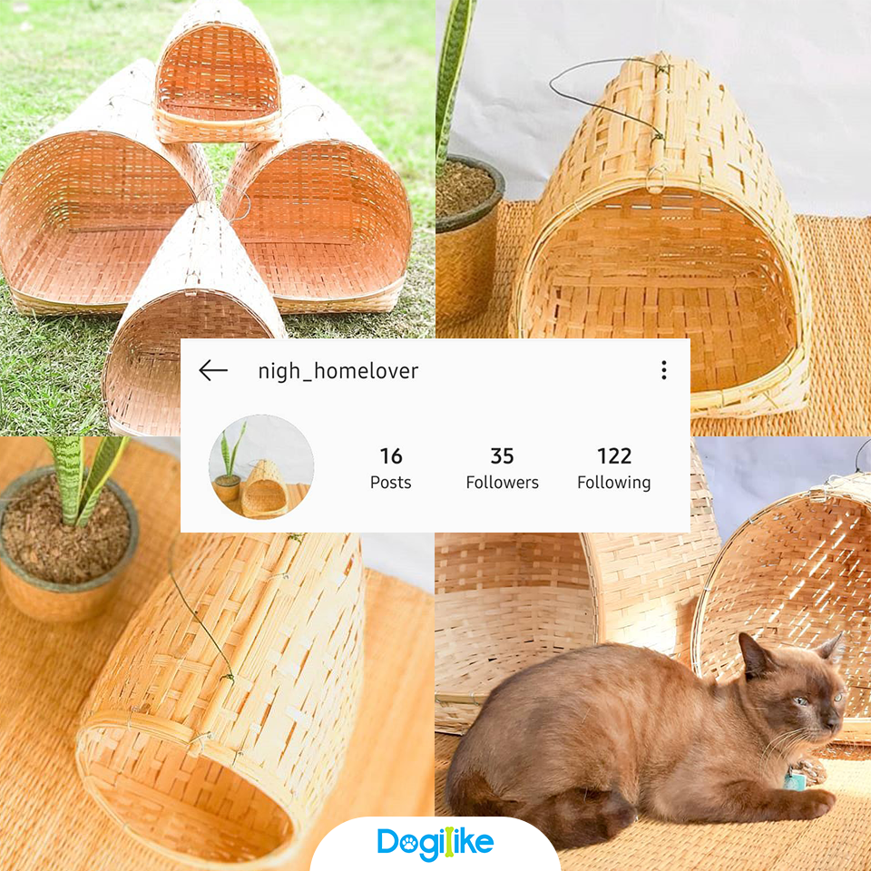Dogilike.com :: Review 10 ҹ ѡ觺ҹҡ Instagram 