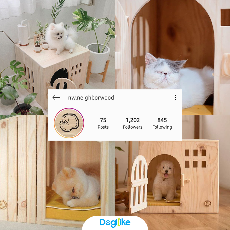 Dogilike.com :: Review 10 ҹ ѡ觺ҹҡ Instagram 