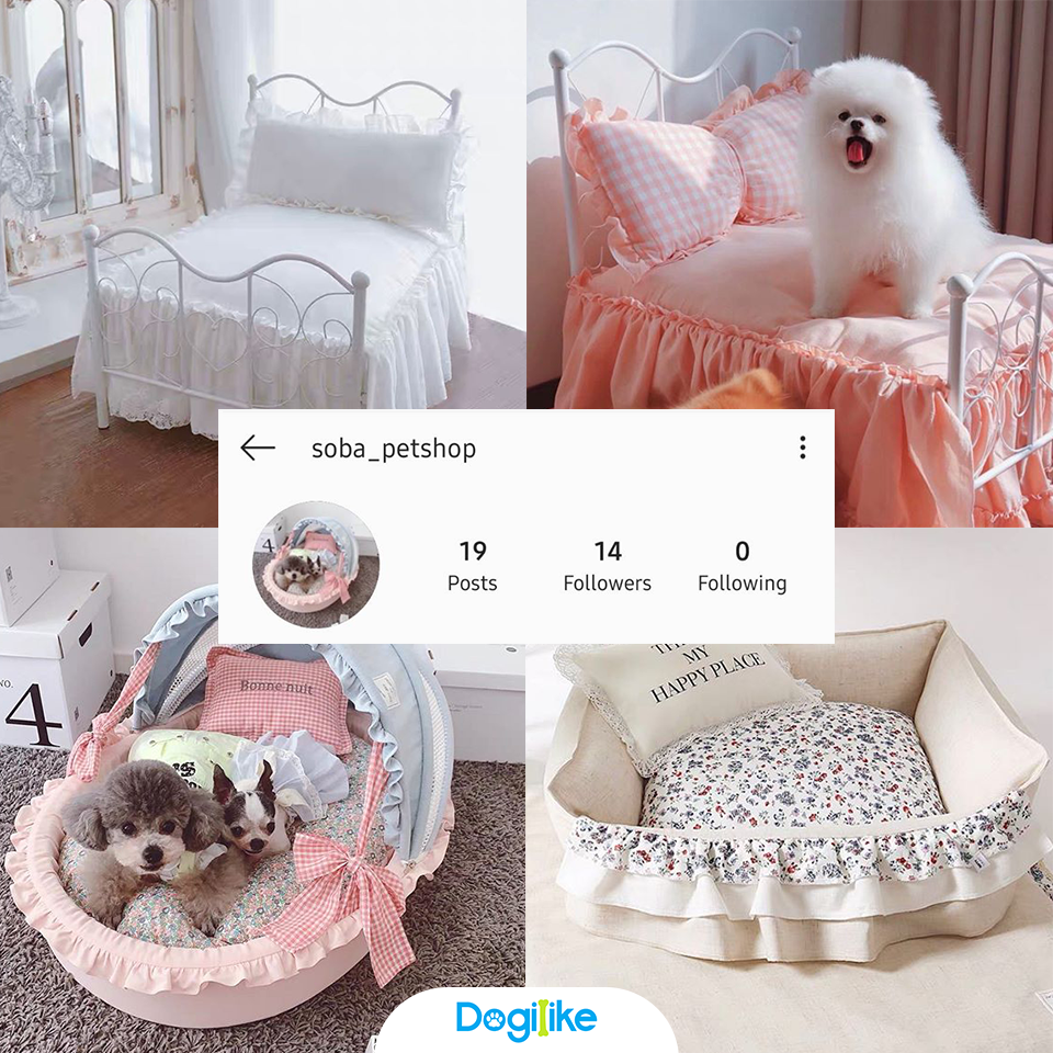 Dogilike.com :: Review 10 ҹ ѡ觺ҹҡ Instagram 
