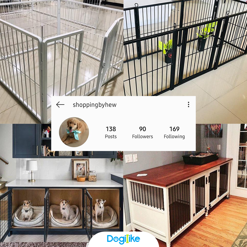 Dogilike.com :: Review 10 ҹ ѡ觺ҹҡ Instagram 