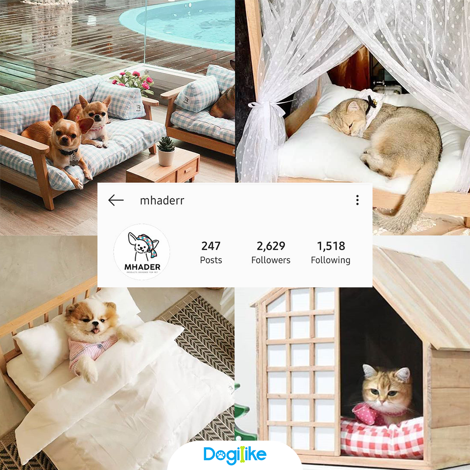 Dogilike.com :: Review 10 ҹ ѡ觺ҹҡ Instagram 